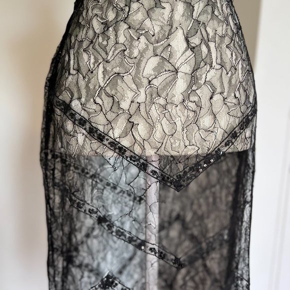 Chanel Cruise handmade lace and sequin sheer skirt Size 38 US 4/6/S - Picture 10 of 16